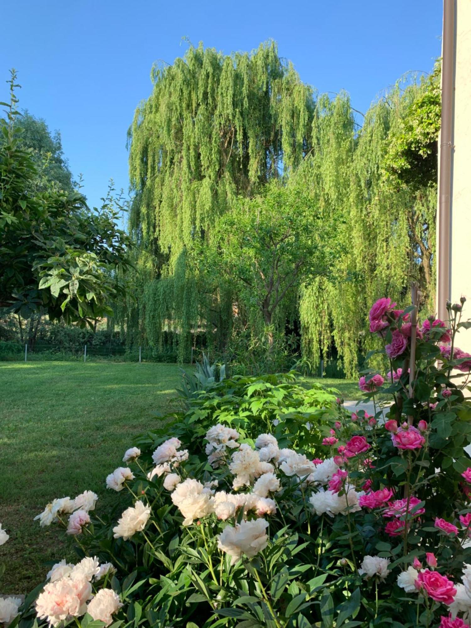L'Isolo B&B E Case Vacanza Monzambano Exterior foto